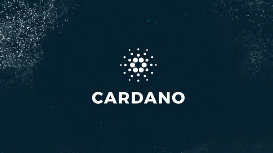 Che cos'è Cardano, una delle ultime criptovalute subentrate nel mercato